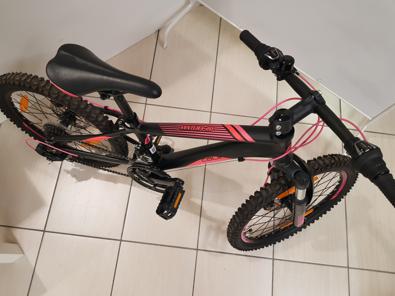 Bicicletta F20